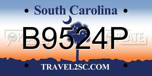 B9524P South Carolina License Plate