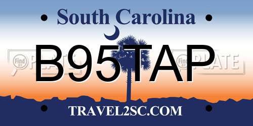 B95TAP South Carolina License Plate