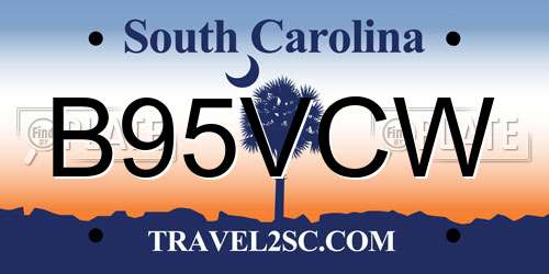 B95VCW South Carolina License Plate
