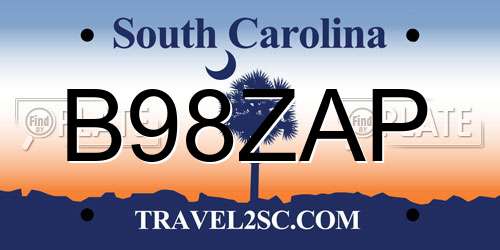 B98ZAP South Carolina License Plate