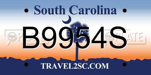 B9954S South Carolina License Plate