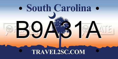B9A31A South Carolina License Plate