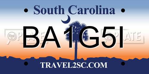 BA1G5I South Carolina License Plate