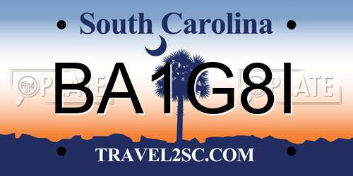 BA1G8I South Carolina License Plate