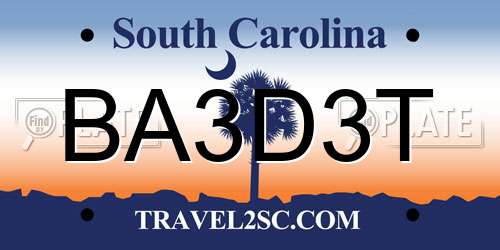 BA3D3T South Carolina License Plate