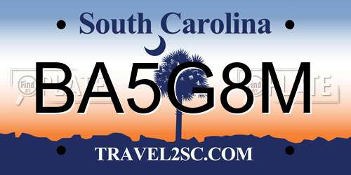 BA5G8M South Carolina License Plate