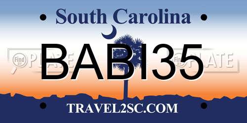BABI35 South Carolina License Plate