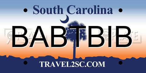 BABTBIB South Carolina License Plate