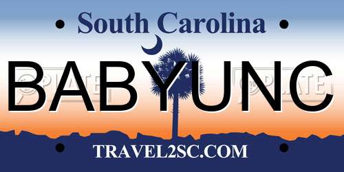 BABYUNC South Carolina License Plate