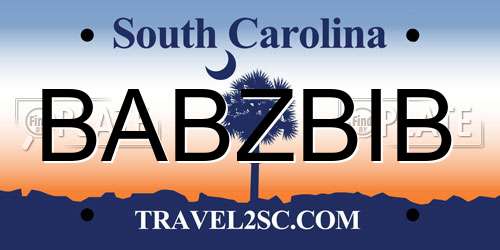 BABZBIB South Carolina License Plate