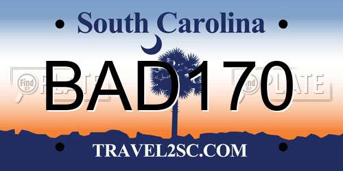 BAD170 South Carolina License Plate