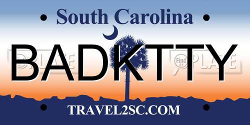 BADKTTY South Carolina License Plate