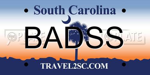 BADSS South Carolina License Plate