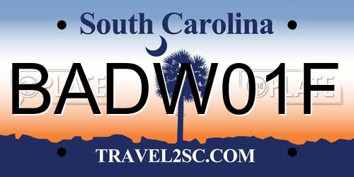 BADW01F South Carolina License Plate