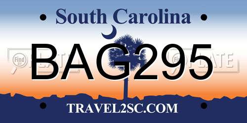 BAG295 South Carolina License Plate
