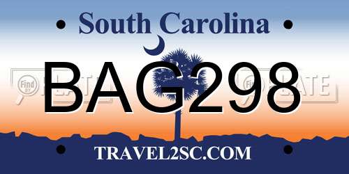BAG298 South Carolina License Plate