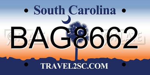 BAG8662 South Carolina License Plate