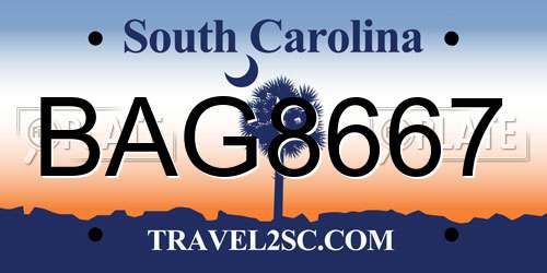 BAG8667 South Carolina License Plate