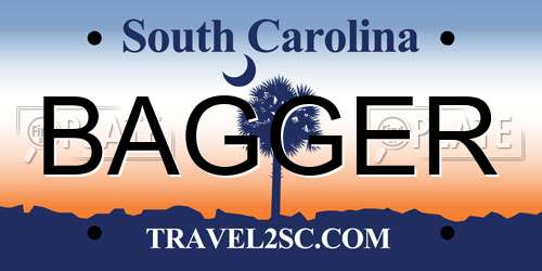 BAGGER South Carolina License Plate