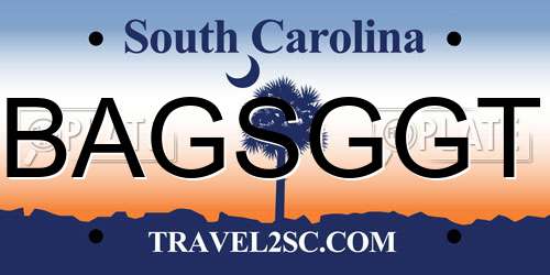 BAGSGGT South Carolina License Plate