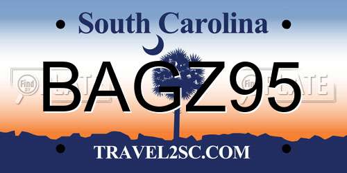 BAGZ95 South Carolina License Plate