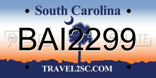 BAI2299 South Carolina License Plate