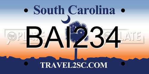 BAI234 South Carolina License Plate