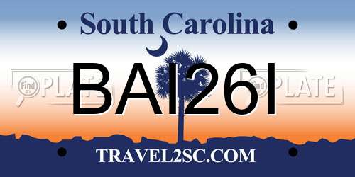 BAI26I South Carolina License Plate