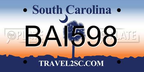 BAI598 South Carolina License Plate