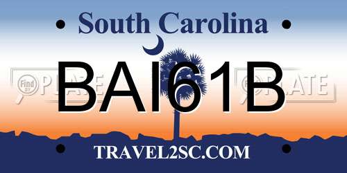 BAI61B South Carolina License Plate