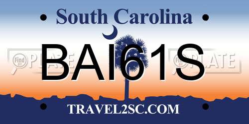 BAI61S South Carolina License Plate