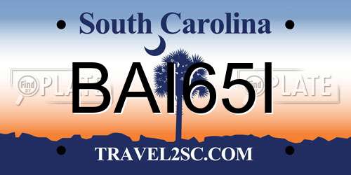 BAI65I South Carolina License Plate