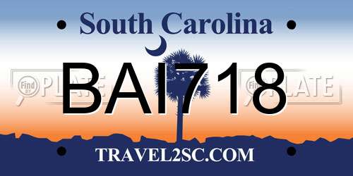 BAI718 South Carolina License Plate