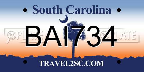 BAI734 South Carolina License Plate