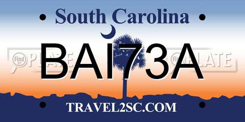 BAI73A South Carolina License Plate
