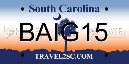 BAIG15 South Carolina License Plate