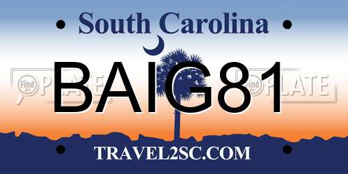 BAIG81 South Carolina License Plate