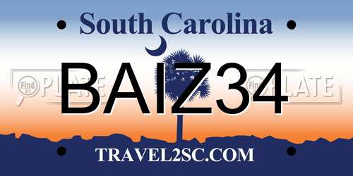 BAIZ34 South Carolina License Plate