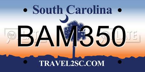 BAM350 South Carolina License Plate