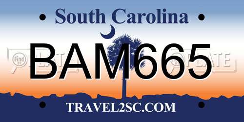 BAM665 South Carolina License Plate