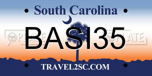 BASI35 South Carolina License Plate