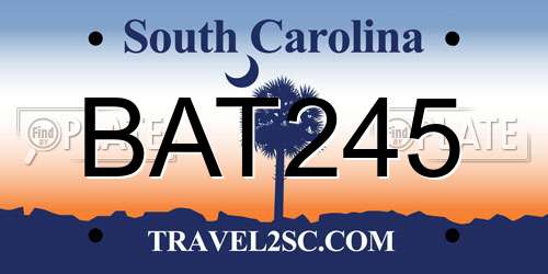 BAT245 South Carolina License Plate