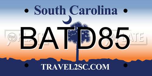 BATD85 South Carolina License Plate