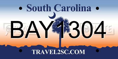 BAY1304 South Carolina License Plate