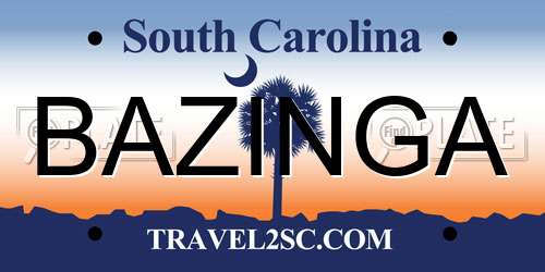 BAZINGA South Carolina License Plate