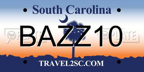 BAZZ10 South Carolina License Plate