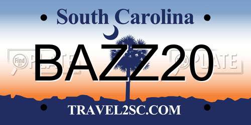 BAZZ20 South Carolina License Plate