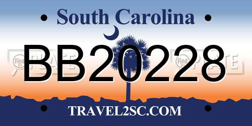 BB20228 South Carolina License Plate