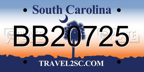 BB20725 South Carolina License Plate