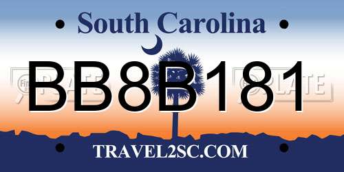 BB8B181 South Carolina License Plate